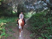 Horseback riding Sidari