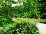 Central Park_6_new